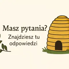 Czy miód ma termin ważności? Dowiedz się, jak długo jest bezpieczny