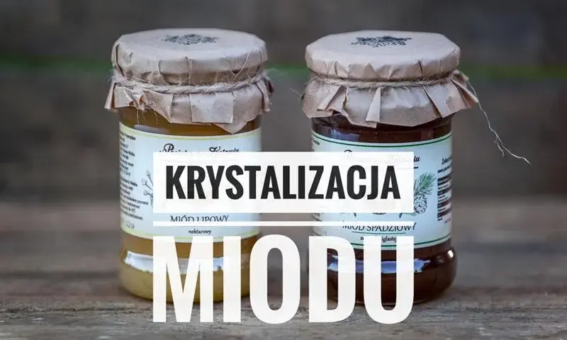 Jak długo krystalizuje się miód lipowy i co warto wiedzieć?