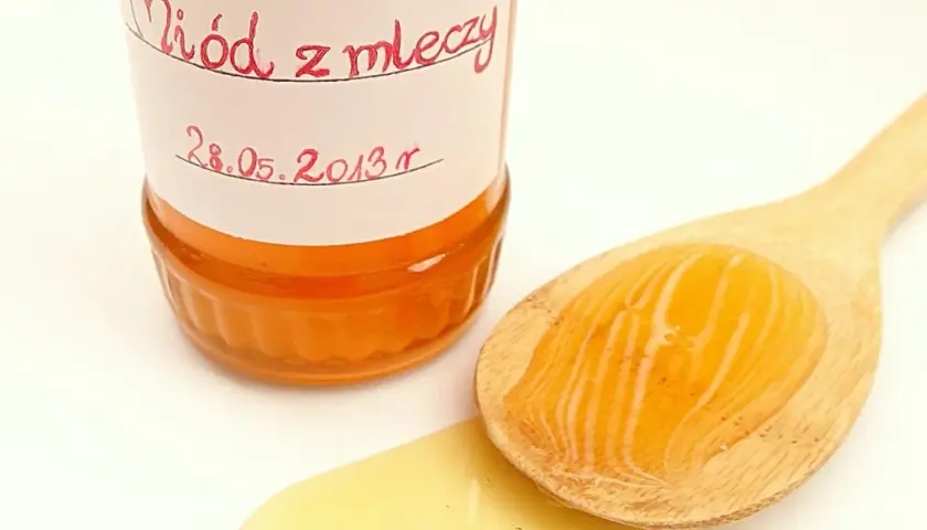 Jak zrobić miód z mleczy – prosty przepis na zdrowy syrop z mniszka