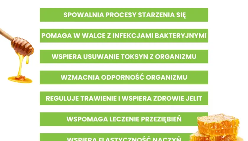Miód nawłociowy na co pomaga i jak może poprawić zdrowie