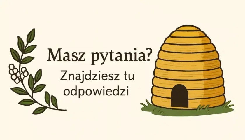 Czy miód ma termin ważności? Dowiedz się, jak długo jest bezpieczny